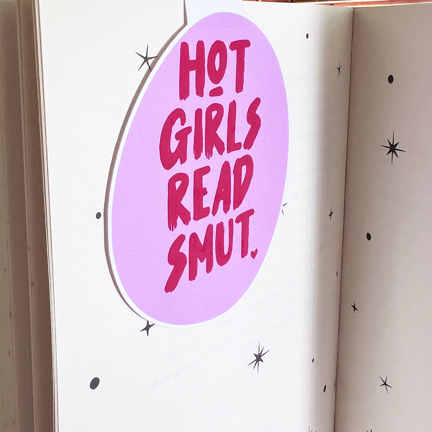 Magnetic Bookmark Hot Girls Read Smut