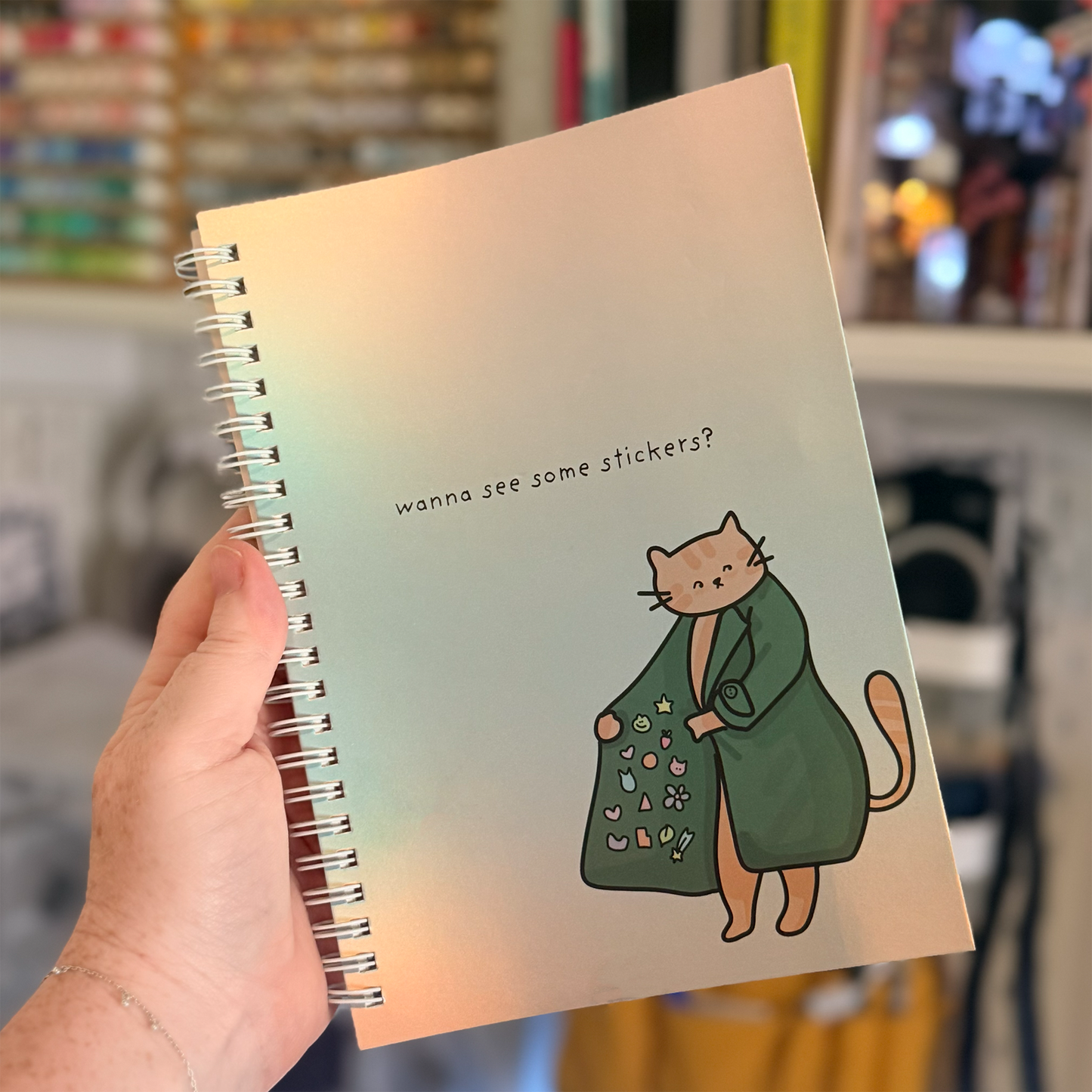 A5 Reusable Sticker Collection Book - Wanna See Some Stickers